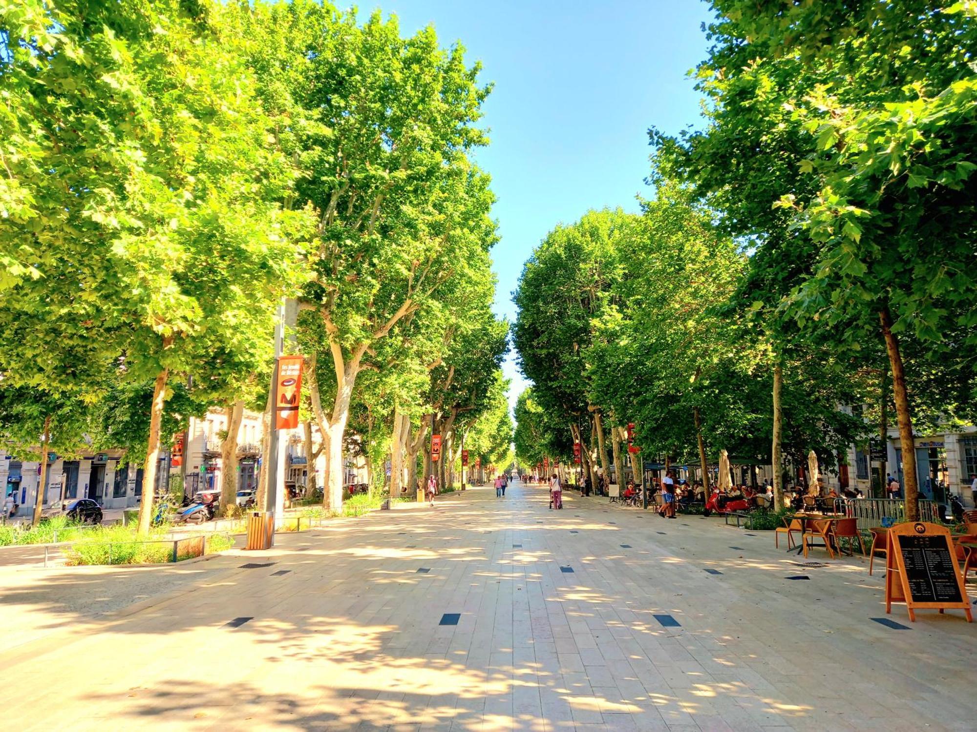 T3 Aqui Es Besiers - Centre-Historique - Cathedrale & Halles - Clim - Wifi - Free Parking Sur Demande Béziers Esterno foto
